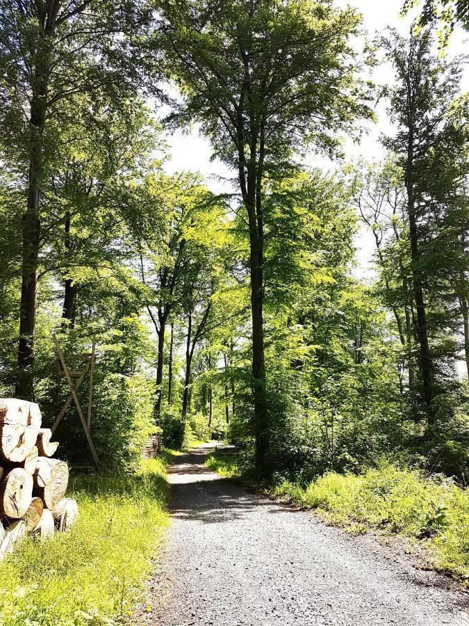 Steewer Landhaus Gemuetliche Ferienwohnung Bis 6 Pers In Ruhiger Ortsrandlage Stebach Bagian luar foto
