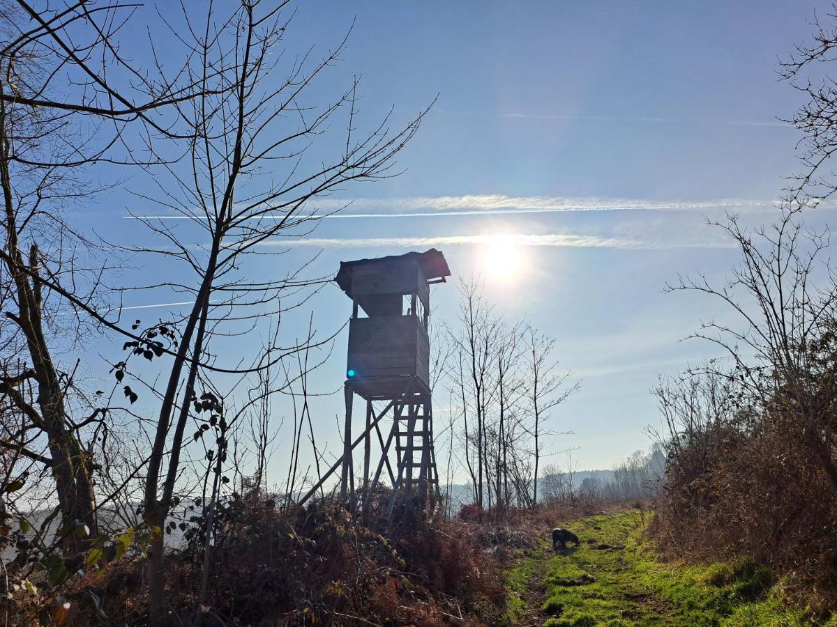Steewer Landhaus Gemuetliche Ferienwohnung Bis 6 Pers In Ruhiger Ortsrandlage Stebach Bagian luar foto