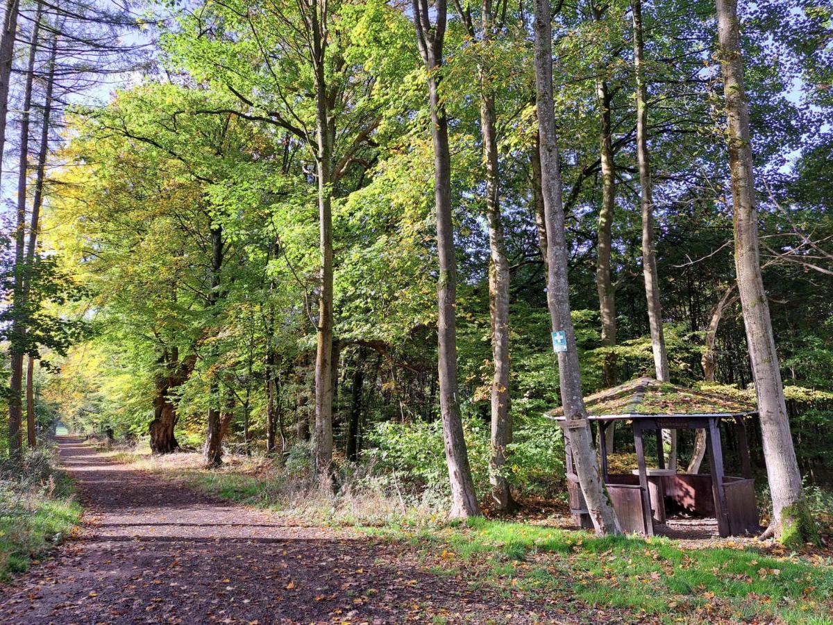 Steewer Landhaus Gemuetliche Ferienwohnung Bis 6 Pers In Ruhiger Ortsrandlage Stebach Bagian luar foto