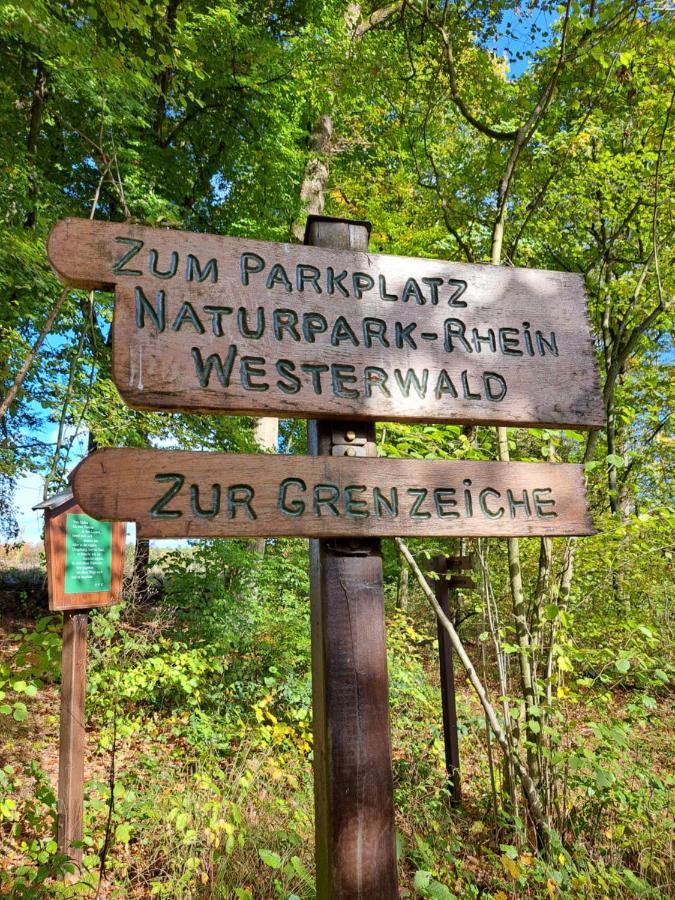 Steewer Landhaus Gemuetliche Ferienwohnung Bis 6 Pers In Ruhiger Ortsrandlage Stebach Bagian luar foto