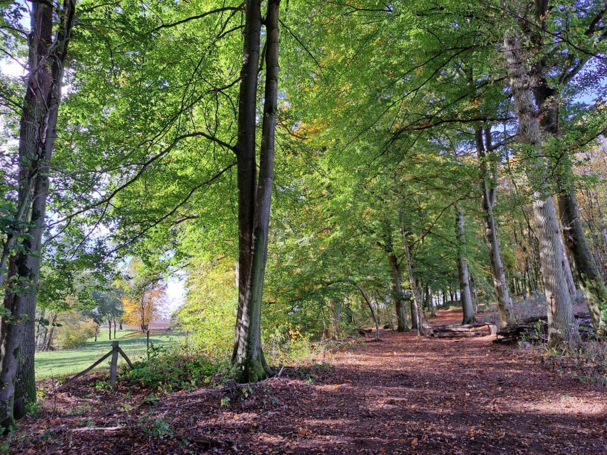 Steewer Landhaus Gemuetliche Ferienwohnung Bis 6 Pers In Ruhiger Ortsrandlage Stebach Bagian luar foto