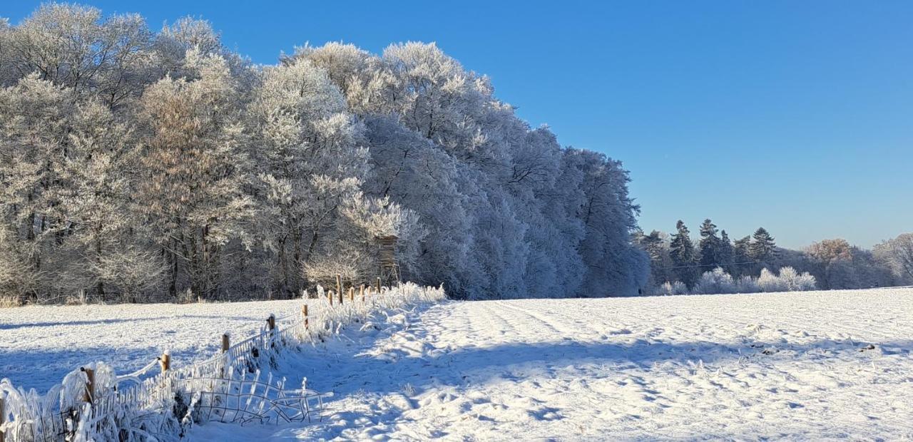 Steewer Landhaus Gemuetliche Ferienwohnung Bis 6 Pers In Ruhiger Ortsrandlage Stebach Bagian luar foto